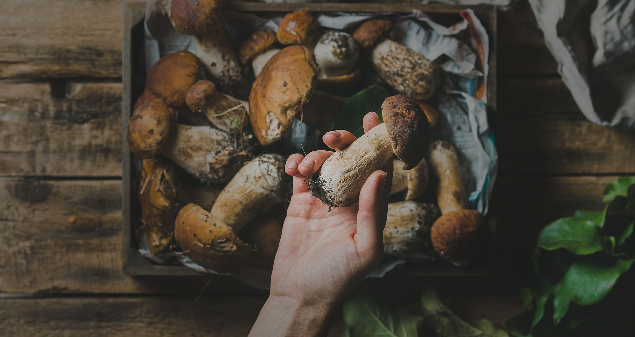 16278076576654cafc91c8ebad657