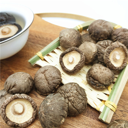 金(jīn)錢(qián)菇