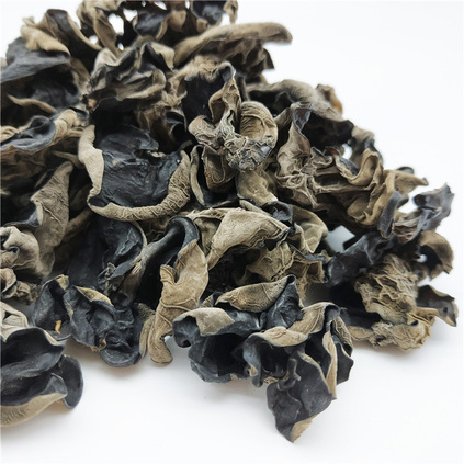 東(dōng)北(běi)黑(hēi)木(mù)耳