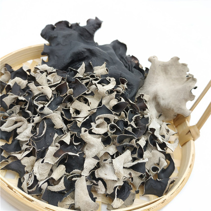 白(bái)背木(mù)耳塊